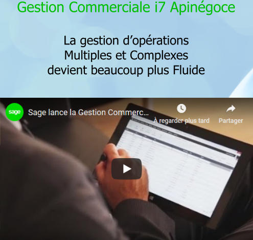 Gestion Commerciale i7 Apinégoce  La gestion d’opérations  Multiples et Complexes devient beaucoup plus Fluide